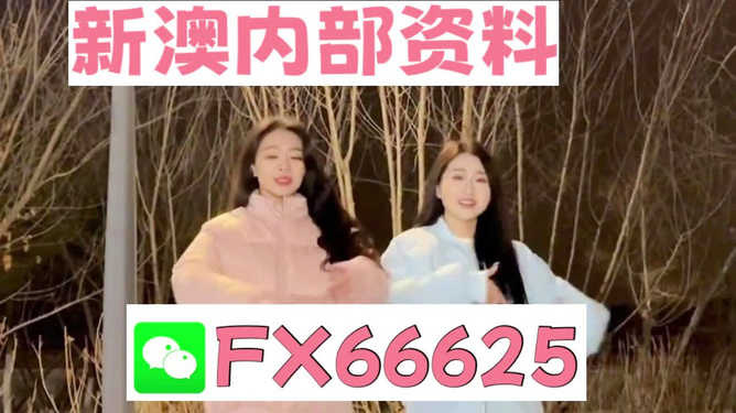 管家婆最准一码一肖,管家婆最准一码一肖——揭秘彩票预测的神秘面纱