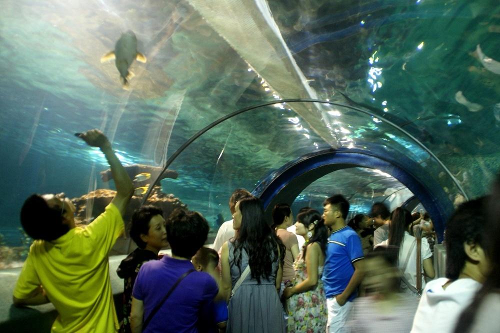 2025新澳天天资料免费大全, 2025新澳天天资料免费大全——探索未来的信息海洋